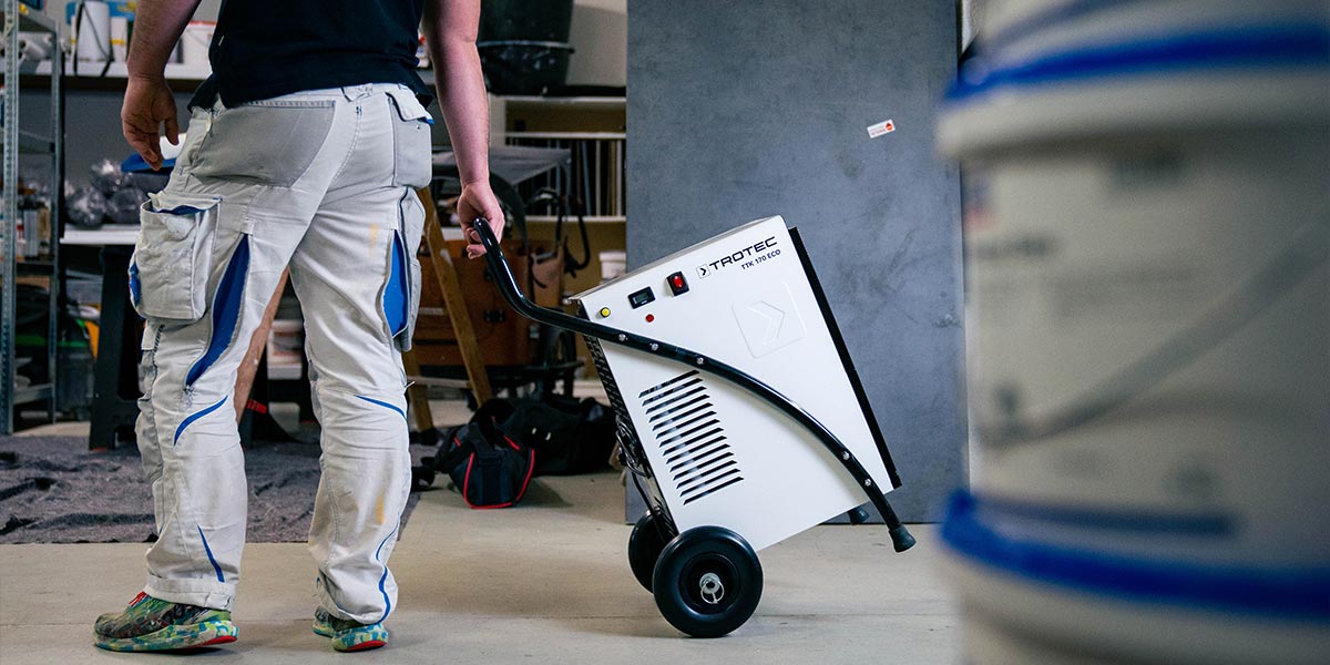 Altbausanierung/Wasserschäden